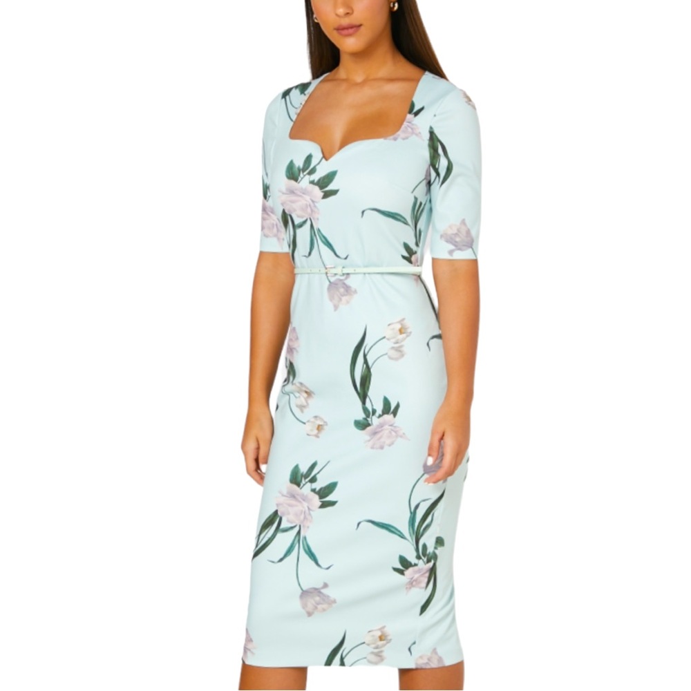 Ted Baker London Magieyy Elderflower 2 / XS Mint Green Floral Midi Dress